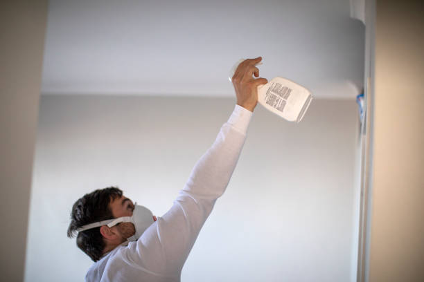 Best Industrial Mold Remediation in Chelan, WA