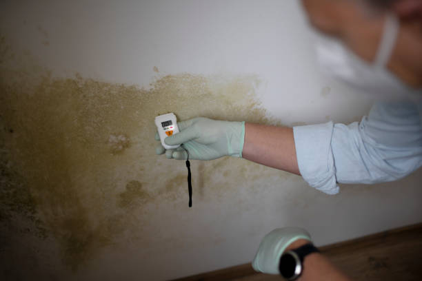 Best Mold Remediation for Specific Building Types in Chelan, WA