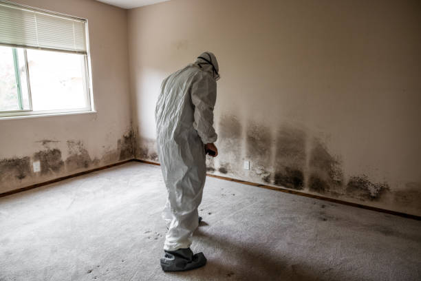 Chelan, WA Mold Remediation Company